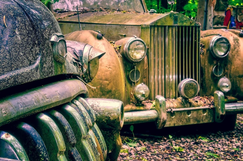 a couple of old cars parked next to each other, a portrait, by Thomas Häfner, auto-destructive art, jungle, hdr detail, aged armor plating, 1 9 4 1
