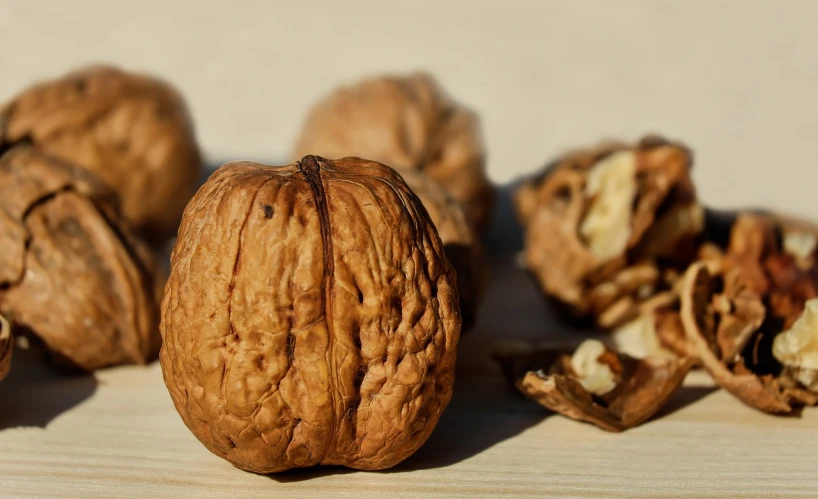 a group of walnuts sitting on top of a wooden table, a portrait, by Josef Navrátil, pixabay, renaissance, hyperdetailed photo, looking across the shoulder, brain, slightly sunny