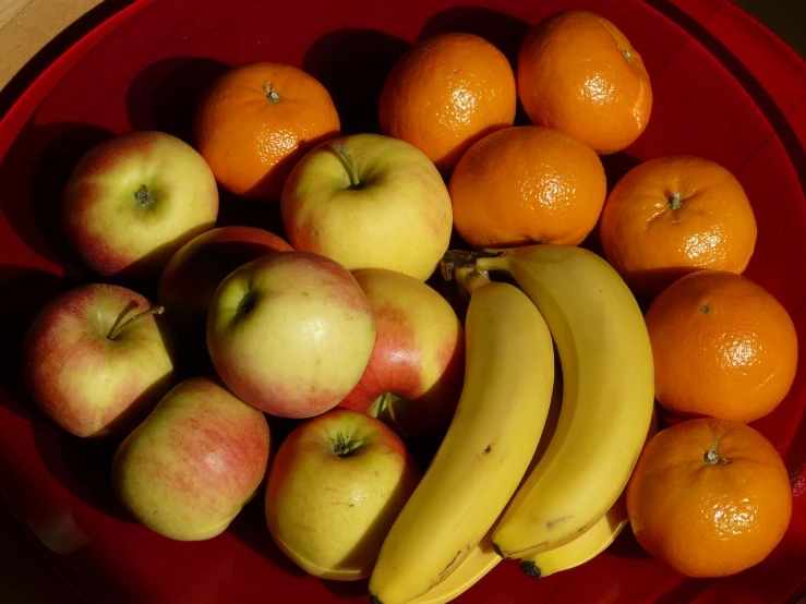 a red bowl filled with apples, oranges and bananas, by Dietmar Damerau, pexels, bauhaus, full of colour 8-w 1024, a broad shouldered, wildlife, trinity