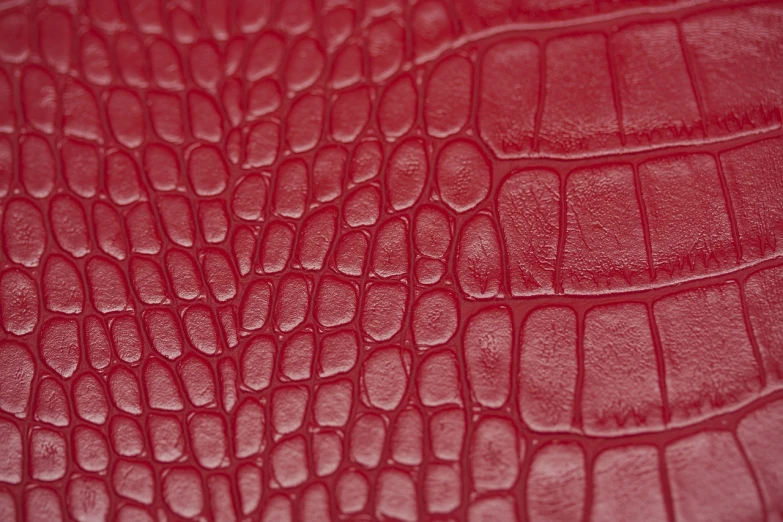 a close up of a red leather surface, a macro photograph, crocodile, 35 mm product photo”