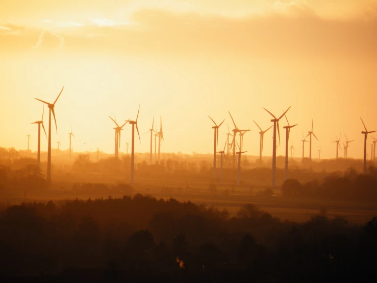 a group of wind turbines sitting on top of a lush green field, by John Atherton, pexels, in a sunset haze, forest plains of north yorkshire, platforms, orange dawn