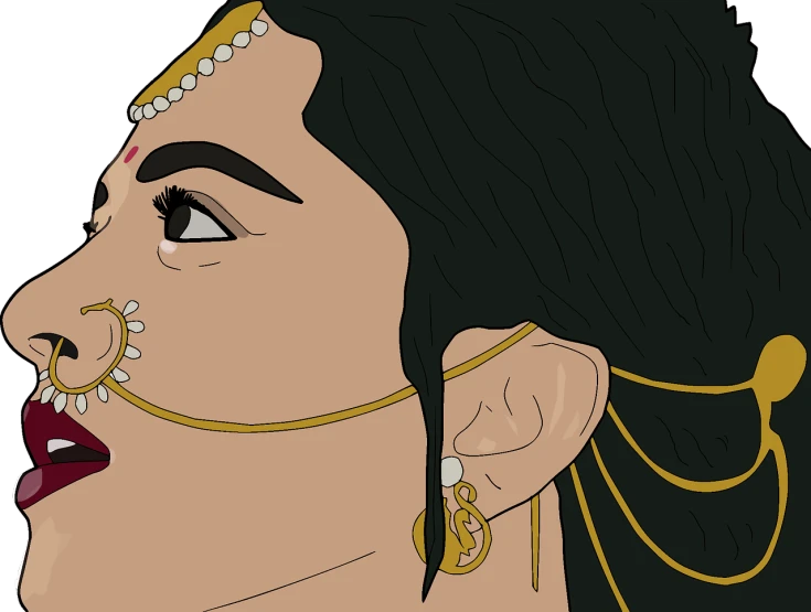 a close up of a person with a nose ring, inspired by Asaf Hanuka, serial art, indian goddess of wealth, movie illustration, immensely detailed scene, of indian princess