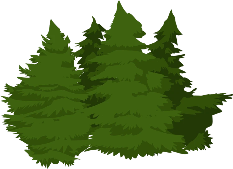 a group of pine trees on a black background, an illustration of, folk art, full res, green vegetation, thick outlines, clipart