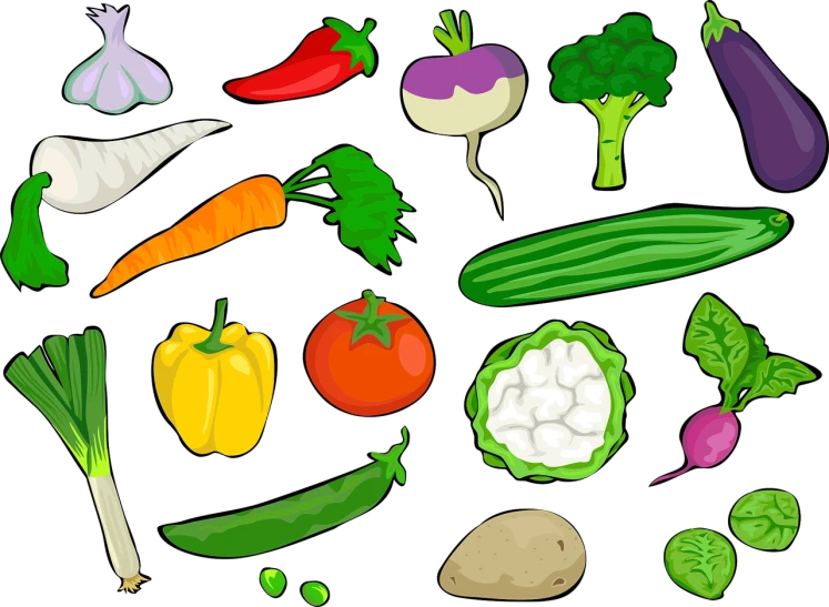 a variety of vegetables on a black background, an illustration of, process art, an illustration, rendered illustration, cartoon style illustration, navel