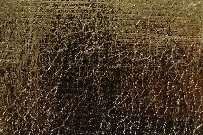 a close up of a fire hydrant with a fire hydrant in the background, an ultrafine detailed painting, by Samuel Birmann, gold leaf texture, abstract black leather, brown, fabric texture