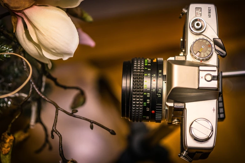 a close up of a camera with a flower in the background, flickr contest winner, very sharp and detailed photo, carl zeiss 8 5 mm vintage lens, home video footage, today\'s featured photograph 4k