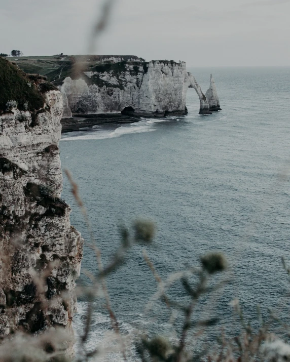 a person standing on top of a cliff next to the ocean, by Raphaël Collin, pexels contest winner, romanticism, white sweeping arches, northern france, low quality photo, detailed trees and cliffs