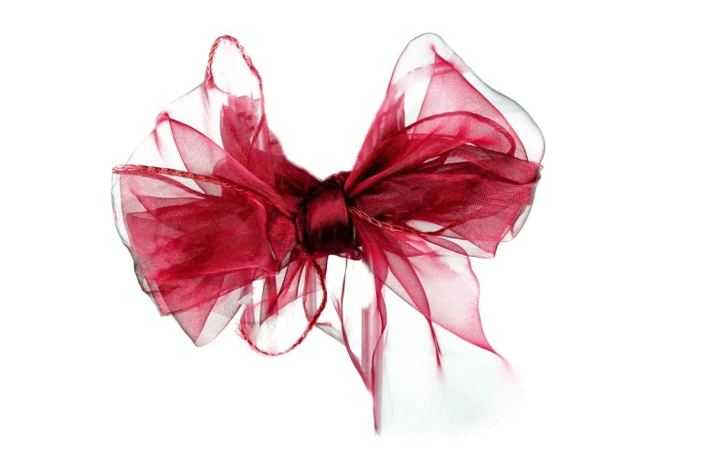 a close up of a red bow on a white background, a sketch, by Elmyr de Hory, diaphanous, maroon, schmuck, magenta