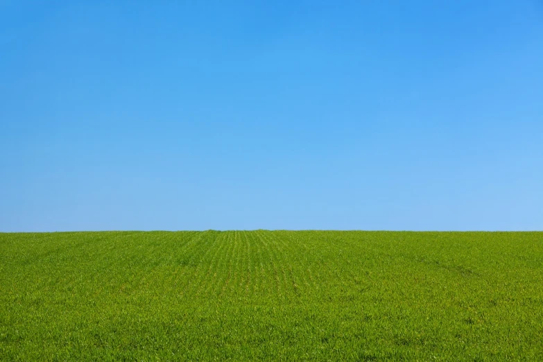 a green field with a blue sky in the background, by Richard Carline, color field, minimalist background, iowa, 2 0 0 mm wide shot, horizon forbideen west