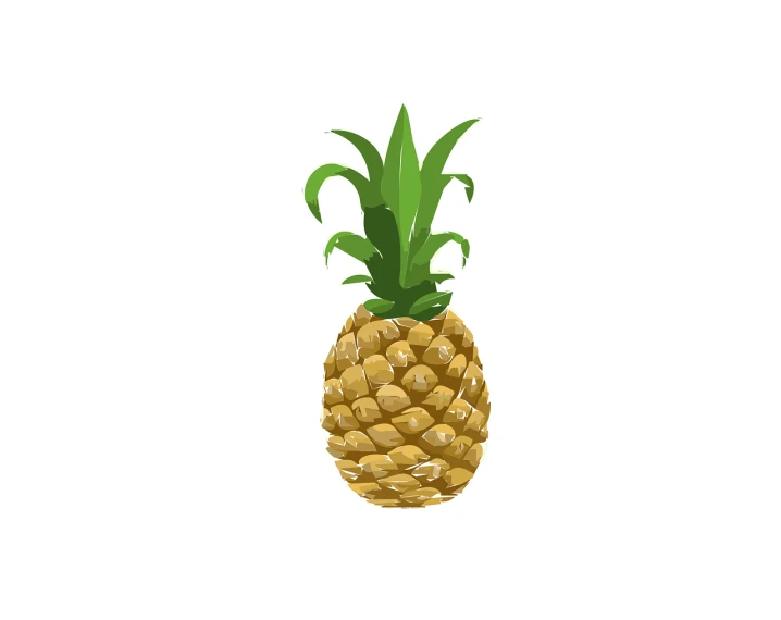 a close up of a pineapple on a white background, an illustration of, renaissance, dribbble illustration, game asset of plant and tree, (38 years old), straw