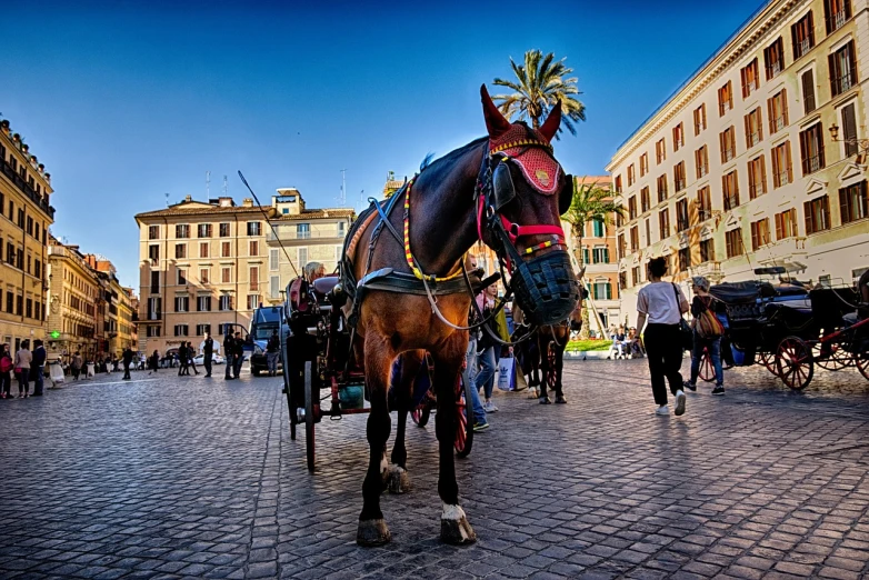 a horse pulling a carriage down a cobblestone street, a picture, by Antonio Rotta, shutterstock, colosseo, portra 8 0 0 ”, hdr!, talaat harb square cairo