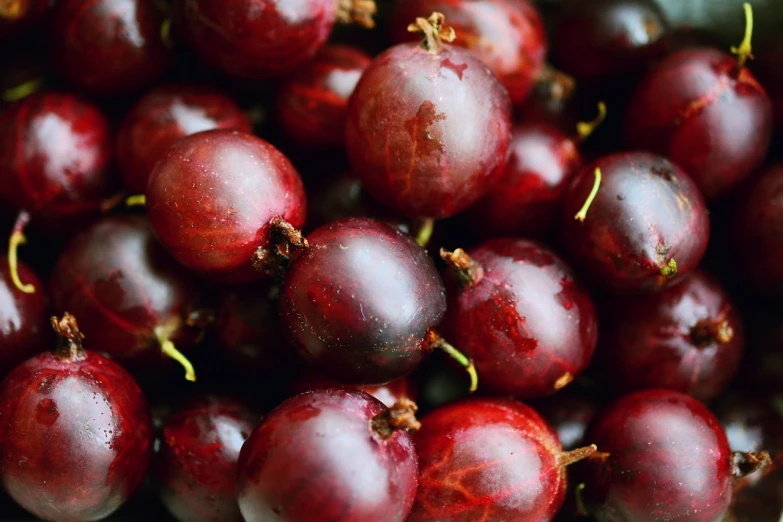 a close up of a bunch of red cherries, a digital rendering, pexels, hurufiyya, passion fruits, background image, purple crimson color scheme, close-up product photo