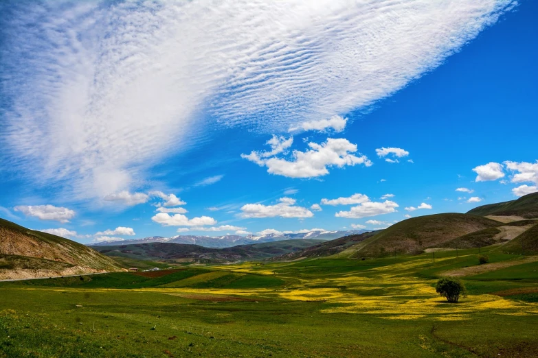 a field with a lone tree in the middle of it, by Muggur, hurufiyya, breathtaking clouds, mythical floral hills, panoramic, harmony of