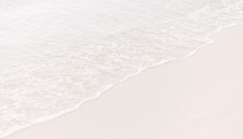 a bird standing on top of a beach next to the ocean, a picture, by Matija Jama, unsplash, fine art, detailed white liquid, water line surface, still life photo of a backdrop, detailed product photo