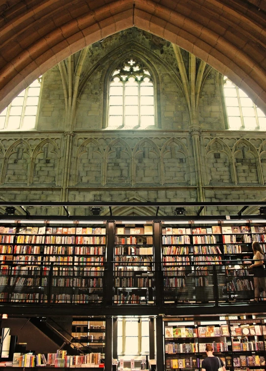 a large library filled with lots of books, by Adriaen Hanneman, flickr, mystical cathedral windows, flying buttresses, belgium, vinyl