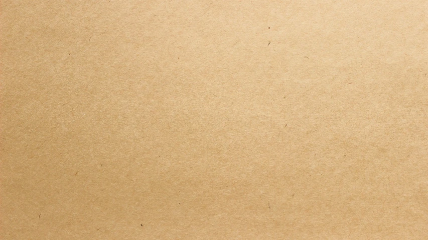 a close up of a piece of brown paper, trending on pixabay, visual art, template, office cubicle background, moma, grain”