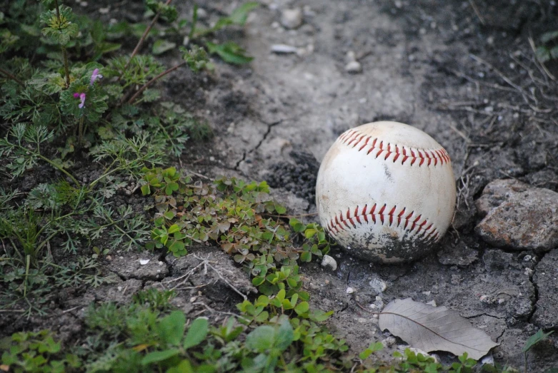 a baseball that is laying on the ground, a picture, unsplash, auto-destructive art, overgrown spamp, dark taint :: athletic, idyllic, tyler west