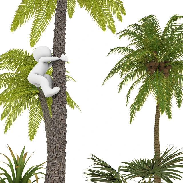 a person climbing a tree on a white background, an ambient occlusion render, inspired by Henri Rousseau, palm trees james gurney, parody work, 3 d models, tropical setting