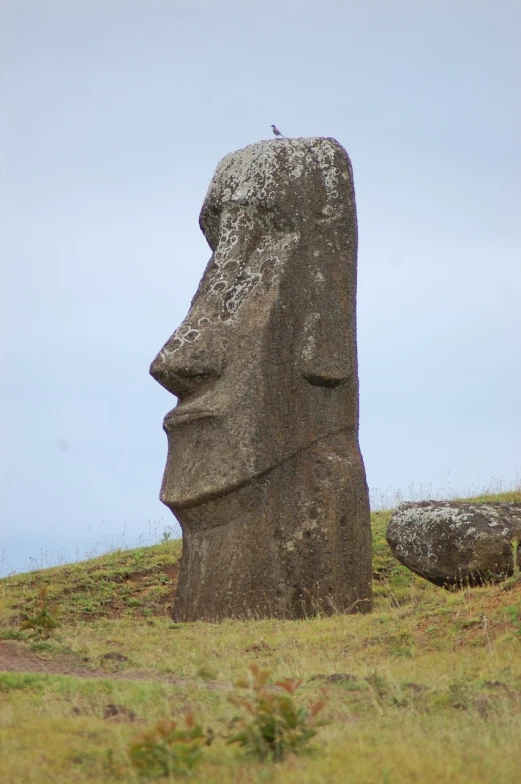 a stone statue sitting on top of a grass covered hillside, tumblr, triangular face, big island, long hook nose, seen from the side