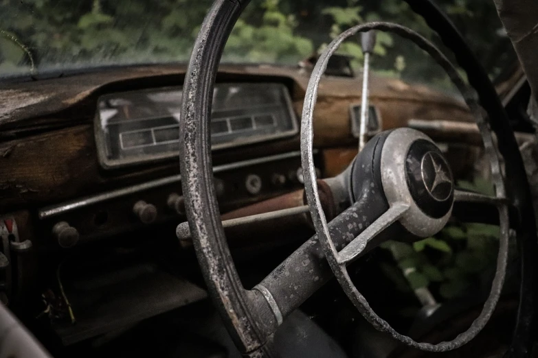 a steering wheel and dashboard of an old car, a portrait, by Jan Konůpek, forgotten and lost in the forest, mercedez benz, semi realism, sascha schneider
