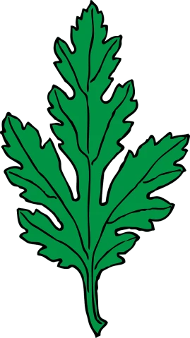 a green leaf on a black background, a digital rendering, inspired by Masamitsu Ōta, sōsaku hanga, oak leaf beard, thick outlines, thistle, wikimedia commons