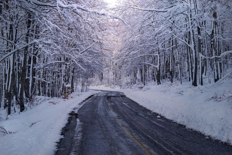 a road in the middle of a snowy forest, by Tom Carapic, flickr, scary sharp icy, william penn state forest, snowy apennines, complete scene