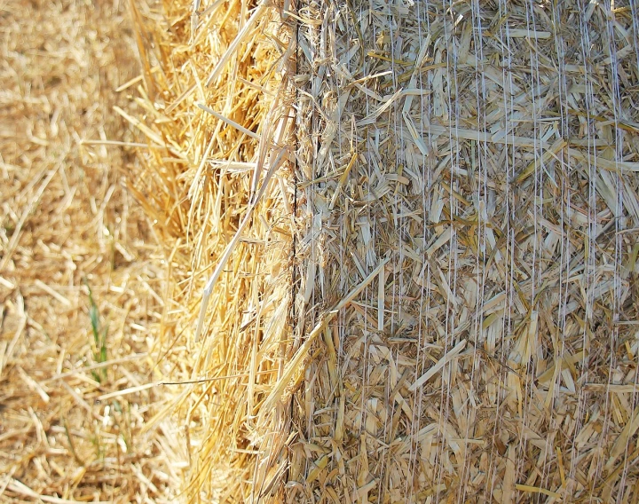 a pile of hay sitting on top of a field, a picture, pixabay, an extreme closeup shot, shiny skin”, sukkot, view from the side”