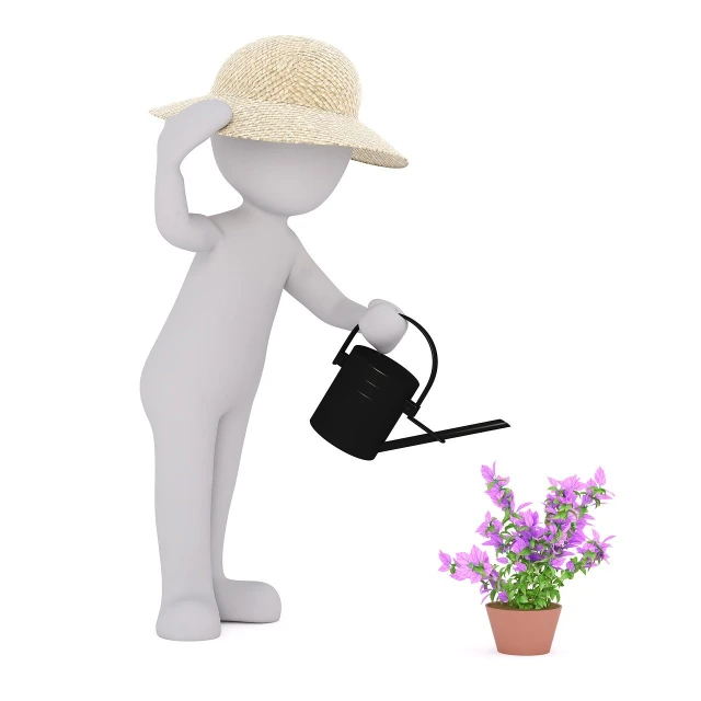 a person holding a watering can next to a potted plant, a picture, by senior artist, pixabay contest winner, conceptual art, 3 d character, with straw hat, isolated white background, elegant pose