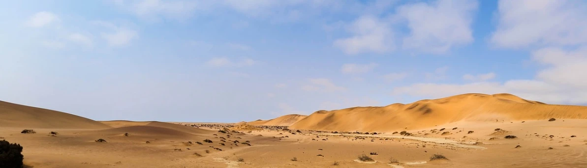 a group of people riding horses through a desert, by Kamāl ud-Dīn Behzād, trending on pixabay, hurufiyya, panoramic photography, background image, oman, high detail photo of a deserted