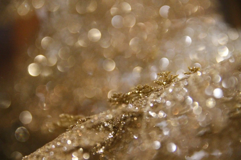 a close up of water droplets on a leaf, by Anna Haifisch, flickr, pointillism, gold linens, glitter dress, wallpaper - 1 0 2 4, sand particles