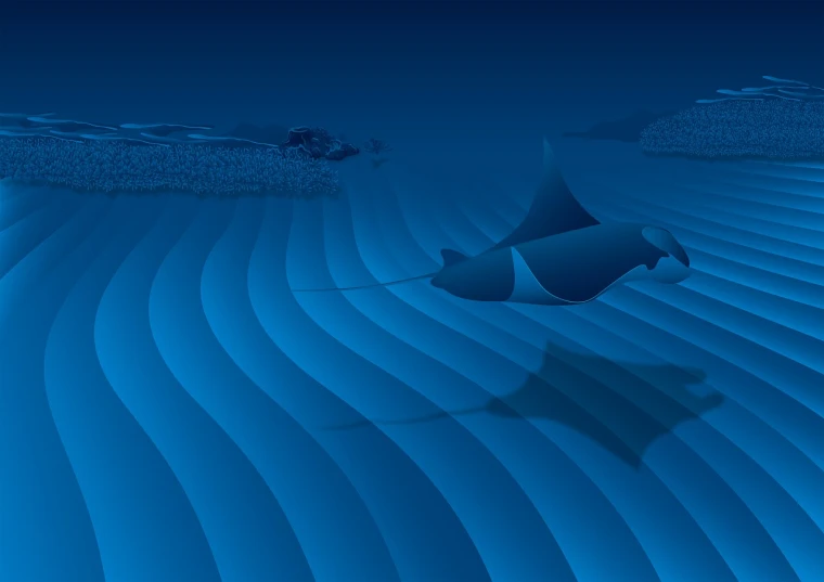 a couple of boats floating on top of a body of water, an illustration of, polycount, conceptual art, manta ray, abstract design. parallax. blue, underwater in the ocean at night, 2 0 1 5