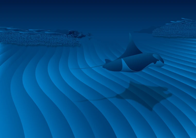 a couple of boats floating on top of a body of water, an illustration of, polycount, conceptual art, manta ray, abstract design. parallax. blue, underwater in the ocean at night, 2 0 1 5