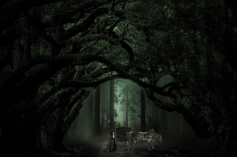 a horse drawn carriage in the middle of a forest, a matte painting, inspired by Samuel Hieronymus Grimm, fantasy art, woman in a dark forest, dark eerie photo, southern gothic scene, large magical trees