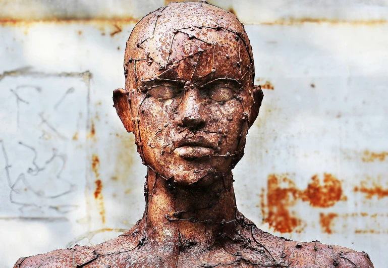 a close up of a statue of a person, by Richard Carline, new sculpture, rust and corrosion, portrait of female humanoid, very sharp and detailed image, skinless head