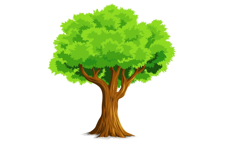 a tree with green leaves on a white background, high detailed cartoon, environment design illustration