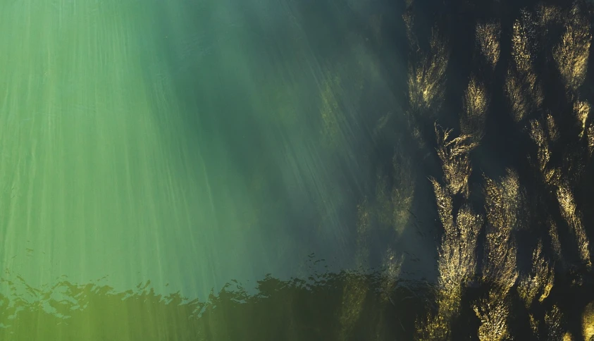 a person riding a surfboard on a wave in the ocean, a picture, by Alexander Bogen, unsplash, digital art, sun rays through trees, banner, green fog, volumetric light from above