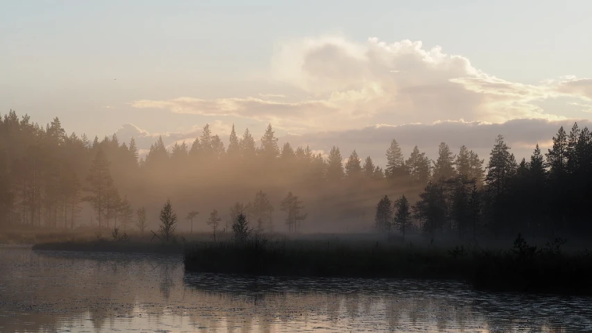 a body of water with trees in the background, a picture, inspired by Eero Järnefelt, flickr, romanticism, early morning light fog, early morning sun in the sky, bog, beams of sunlight