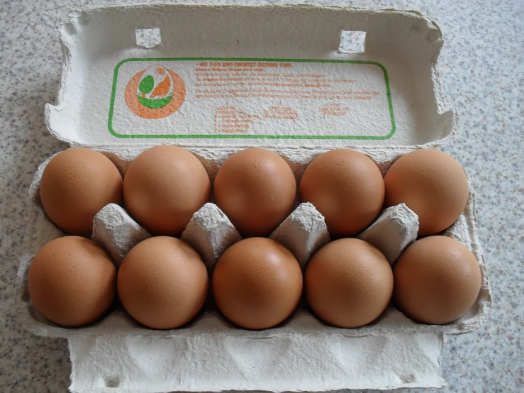 a carton of eggs sitting on top of a table, flickr, dau-al-set, “organic, dubai, 2003, eco