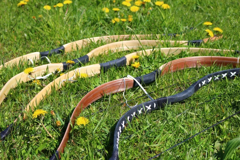 a bunch of horns laying on top of a lush green field, by Erwin Bowien, shutterstock, hurufiyya, longbows, an amalgamation of a snake, ebony wood bow, set photo