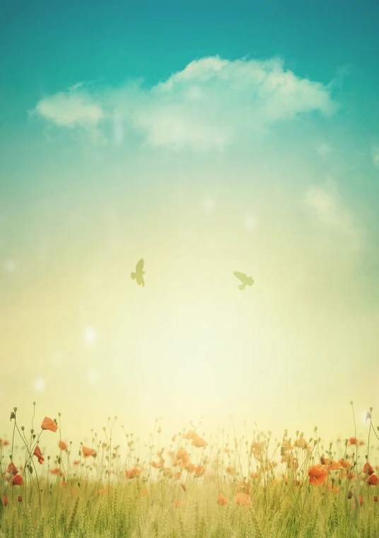 a field of flowers with a bird flying in the sky, shutterstock, minimalism, pastel faded effect, bright sunlight, blurry and dreamy illustration, blurred and dreamy illustration