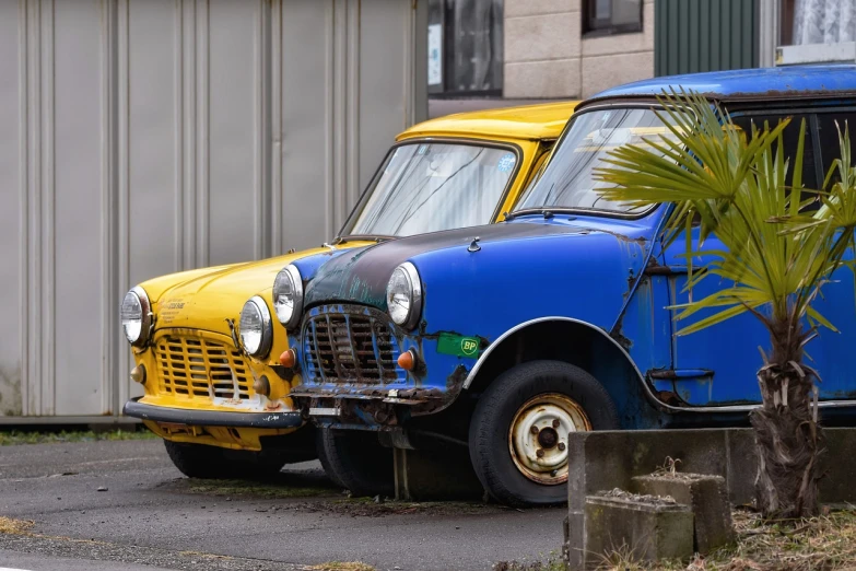 a couple of old cars parked next to each other, a portrait, by Richard Carline, flickr, blue and yellow fauna, mini, under repairs, te pae