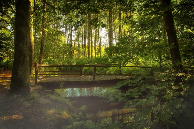 a wooden bridge in the middle of a forest, a picture, inspired by Henri Biva, romanticism, hdr!, summer light, ((forest)), summer evening