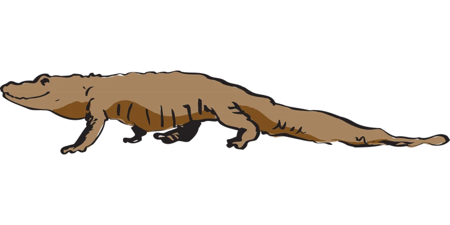 a drawing of a lizard on a black background, an illustration of, by Tom Carapic, pixabay, sumatraism, giant ferret, brown body, mech shaped like a manatee, flat vector