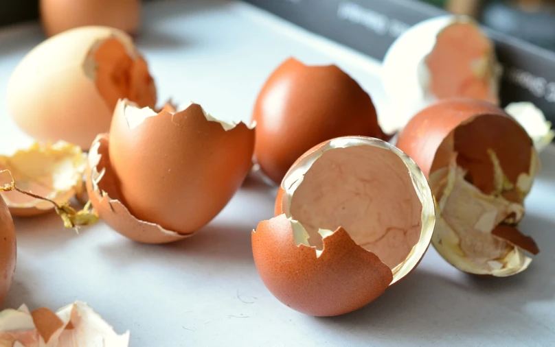 a bunch of eggs sitting on top of a counter, a picture, hyperrealism, broken composition, product photography 4 k, eggshell color, high quality product image”