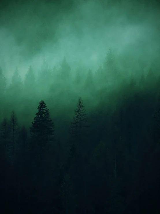 a forest filled with lots of green trees, a matte painting, inspired by Elsa Bleda, tonalism, magical storm fog, background ( dark _ smokiness ), moody photography, scary pines