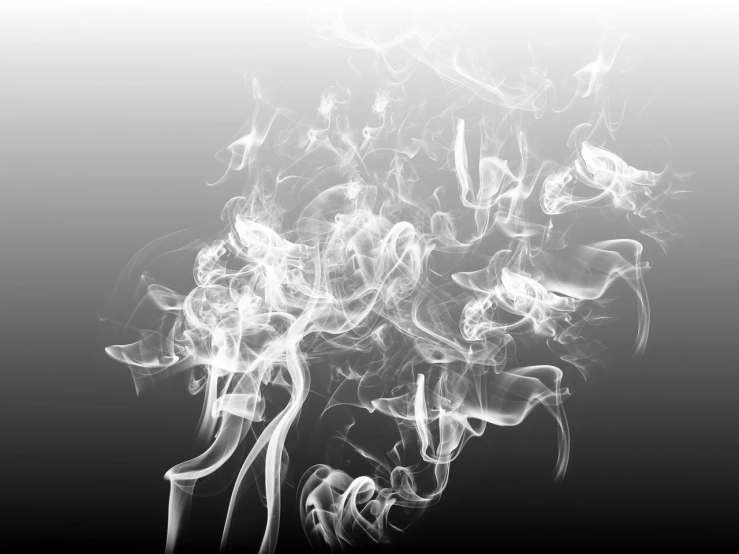 a black and white photo of smoke in the air, a black and white photo, pexels, digital art, gradient white to silver, cigarettes, white fractals, i_5589.jpeg