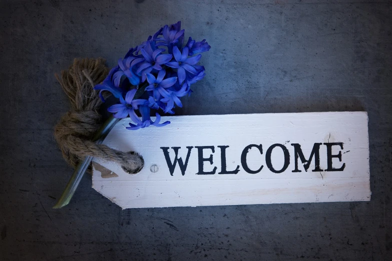 a welcome sign with a bunch of blue flowers, shutterstock, stock photo, photo taken with sony a7r, a new, hyacinth