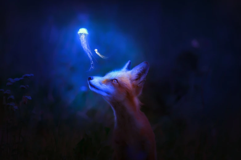 a fox that is standing in the grass, an airbrush painting, fantasy art, firefly lights, closeup photo, he is casting a lighting spell, blue lighting. fantasy