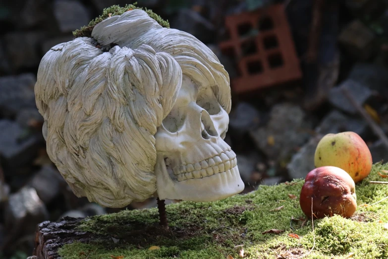 a skull sitting on top of a tree stump next to an apple, a marble sculpture, inspired by Grillo Demo, vanitas, 4k hd. snow white hair, highly detailed close up shot, woman made of plants, above side view