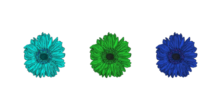 three different colored flowers on a black background, a digital painting, by Andrei Kolkoutine, unsplash, digital art, green and blue colors, giant daisy flowers head, corporate animation style, tones of blue and green